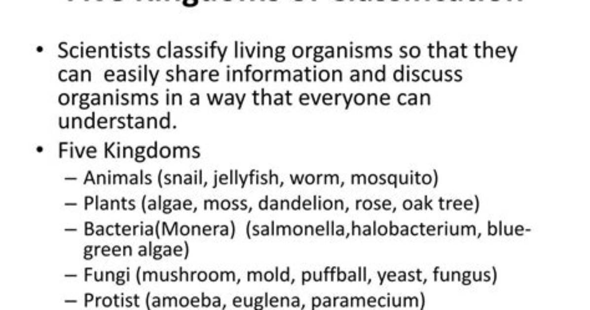 How Do Scientists Classify Living Organisms