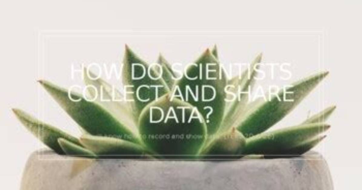 How Do Scientists Collect Data