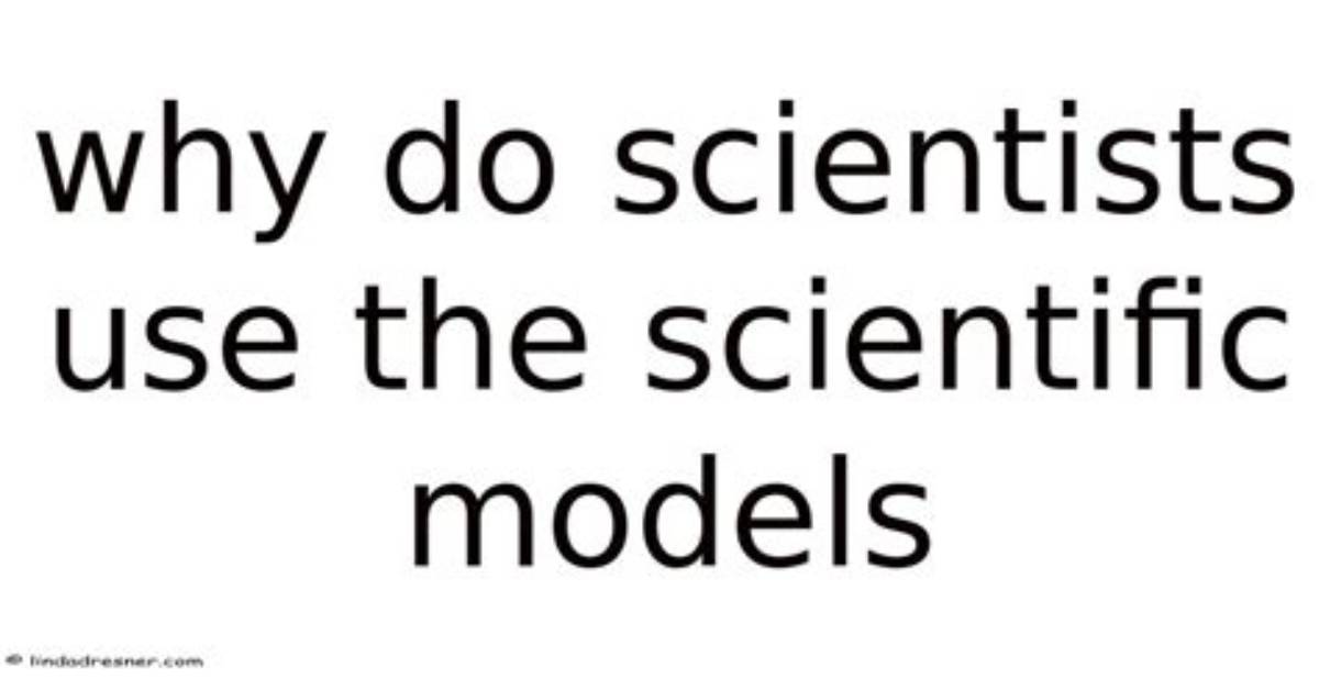 How Do Scientists Use Models