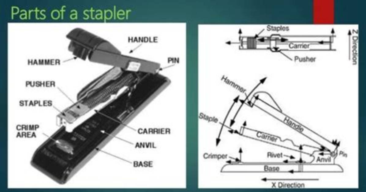 How Do Staplers Work?