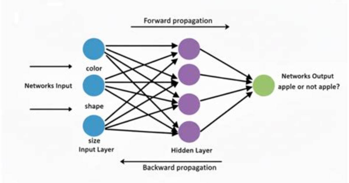 How Do Store and Forward Networks Work