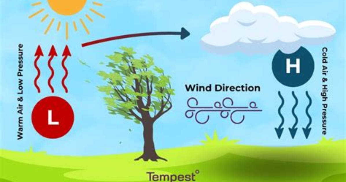 How Do Surface Features Influence Local Wind Patterns