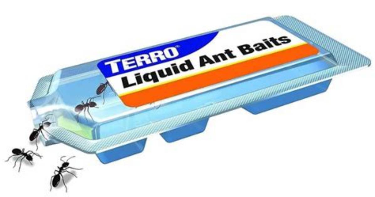 How Do Terro Liquid Ant Baits Work
