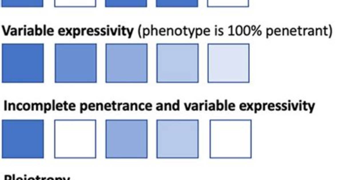 How Do the Porphyrias Exhibit Variable Expressivity?