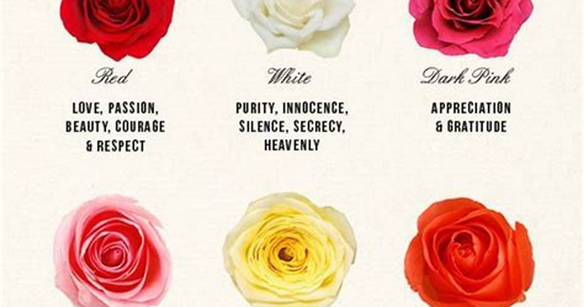 How Do They Colour Roses