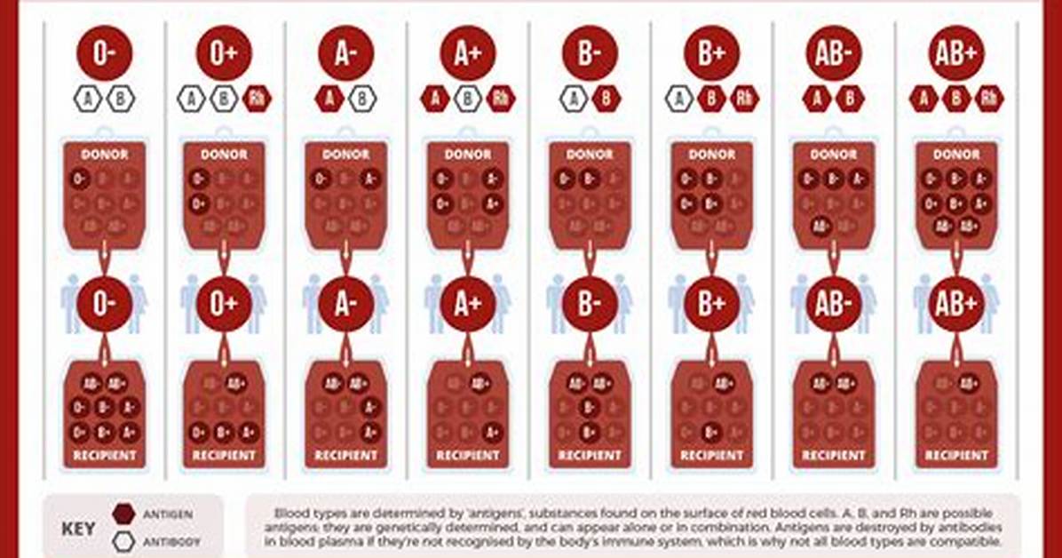 How Do They Determine Blood Type