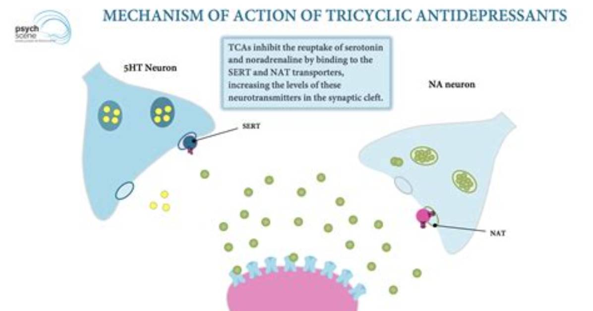 How Do Tricyclics Work
