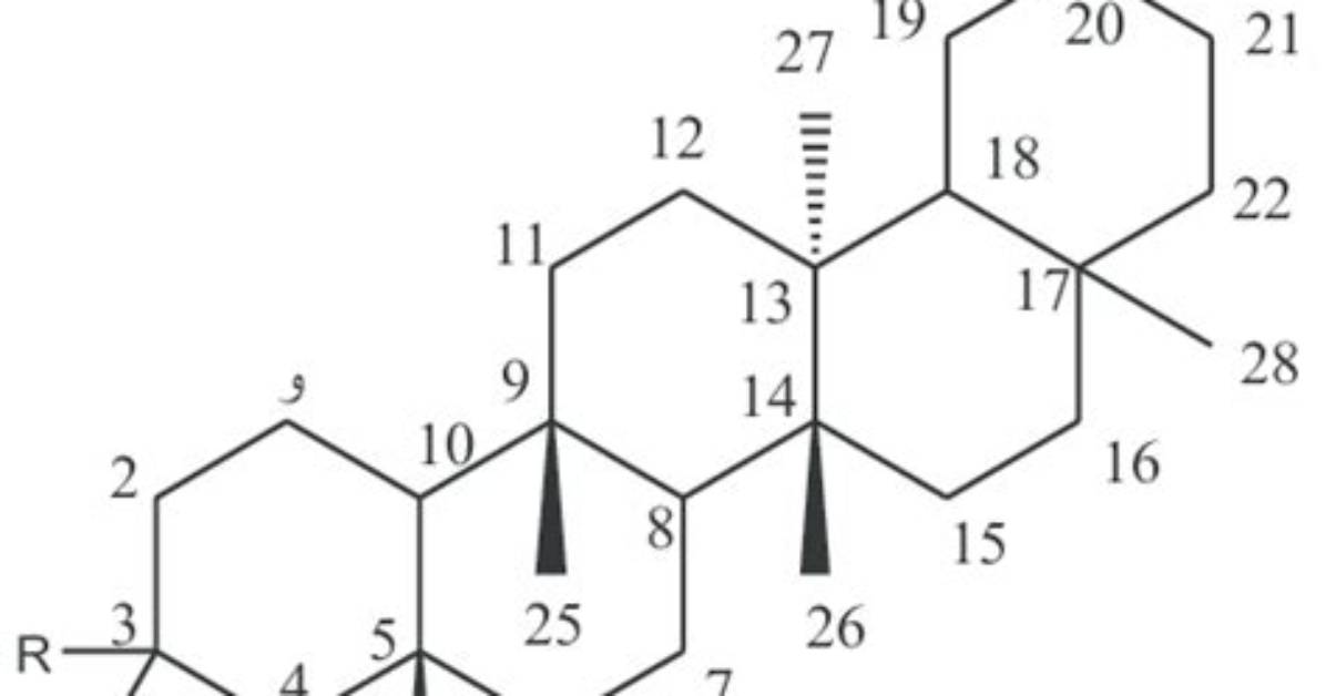 How Do Triterpenes Work?