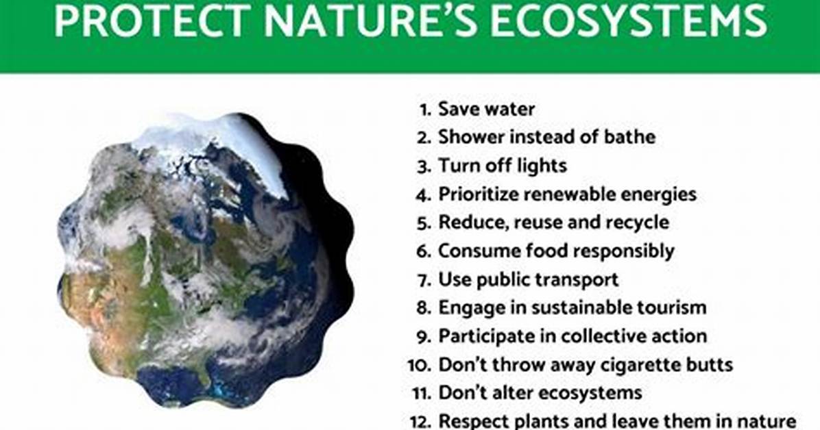 How Do We Protect the Ecosystem?