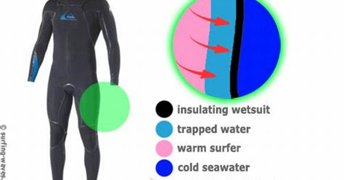How Do Wetsuits Work? - Lisbd-Net. Com