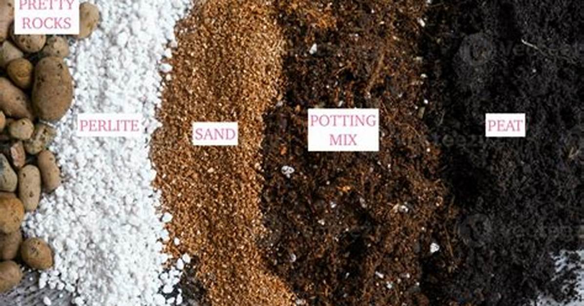 How Do You Add More Soil