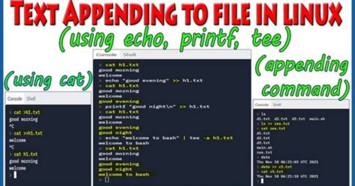 How Do You Append a Text File in Linux?