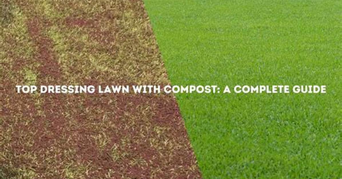 How Do You Apply Top Dressing