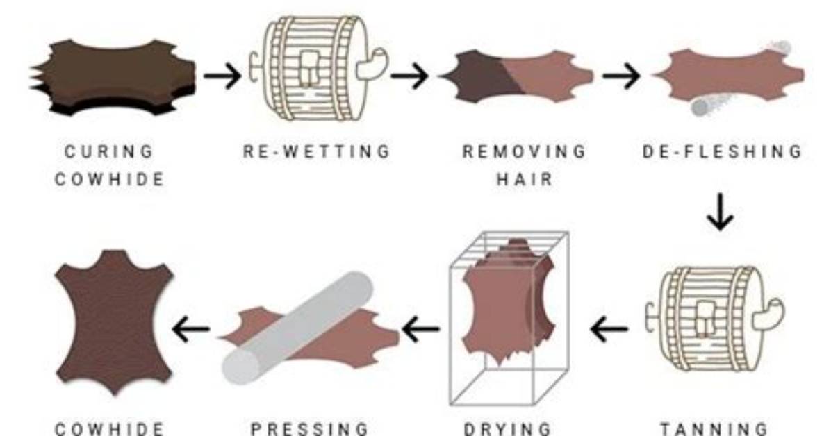 How Do You Attach a Cowhide to the Wall?