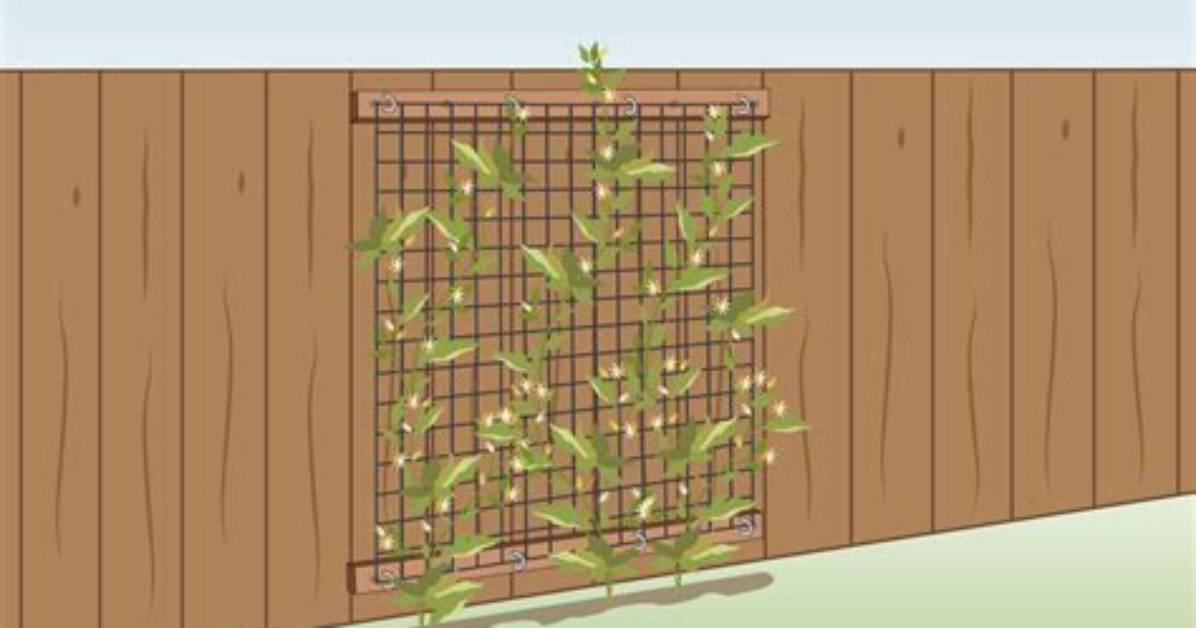 How Do You Attach a Trellis to a Deck