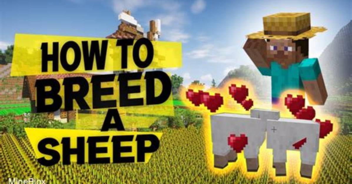 How Do You Breed a Sheep in Minecraft