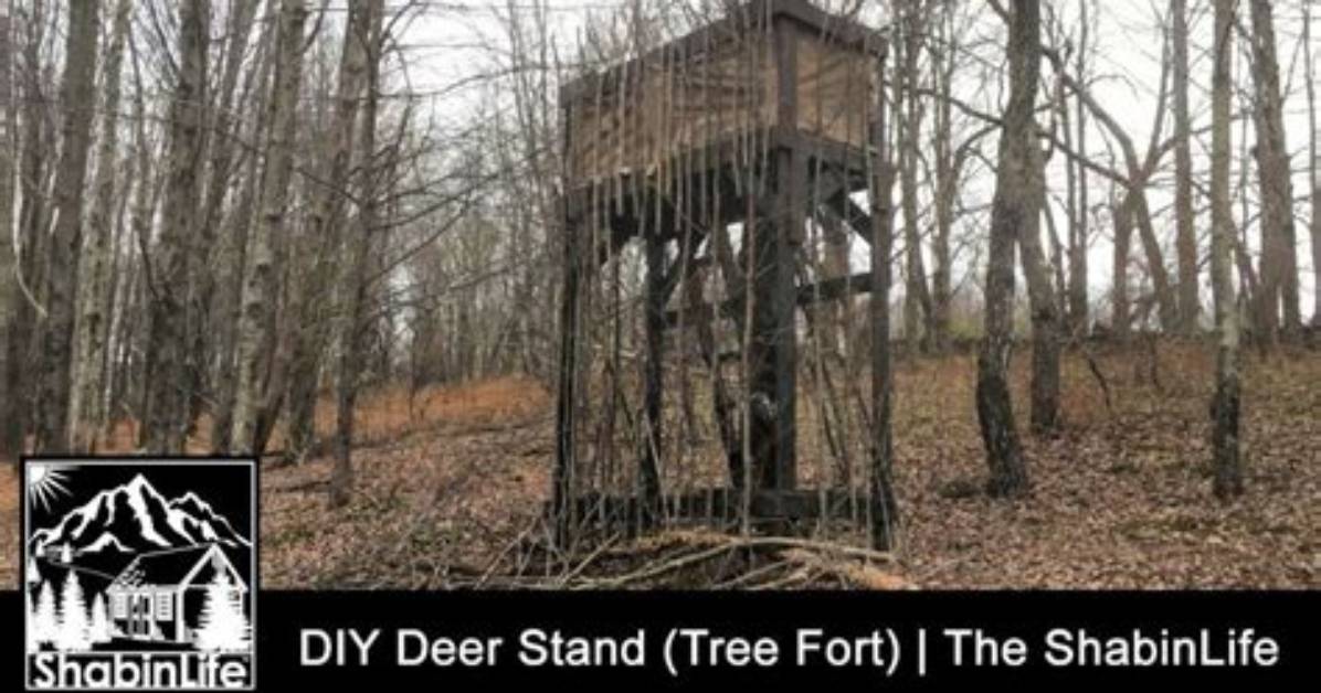 How Do You Build a Deer Blind Window?