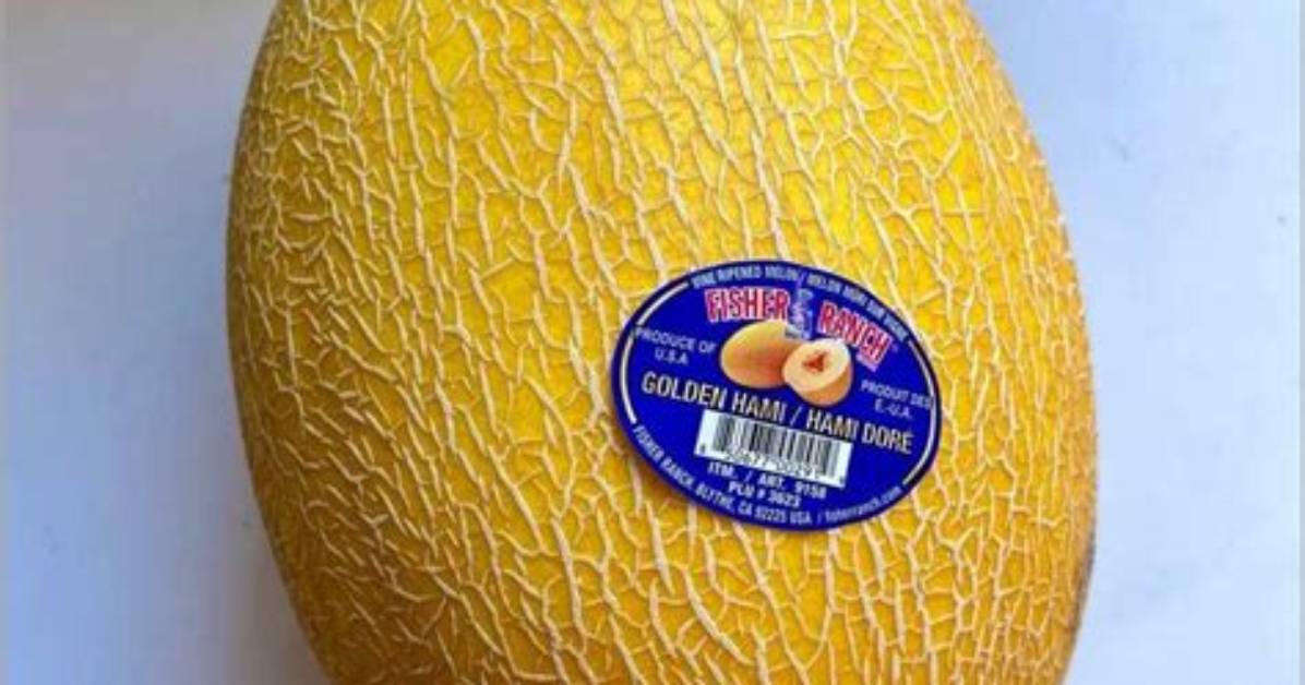 How Do You Buy a Pass Melon Stream
