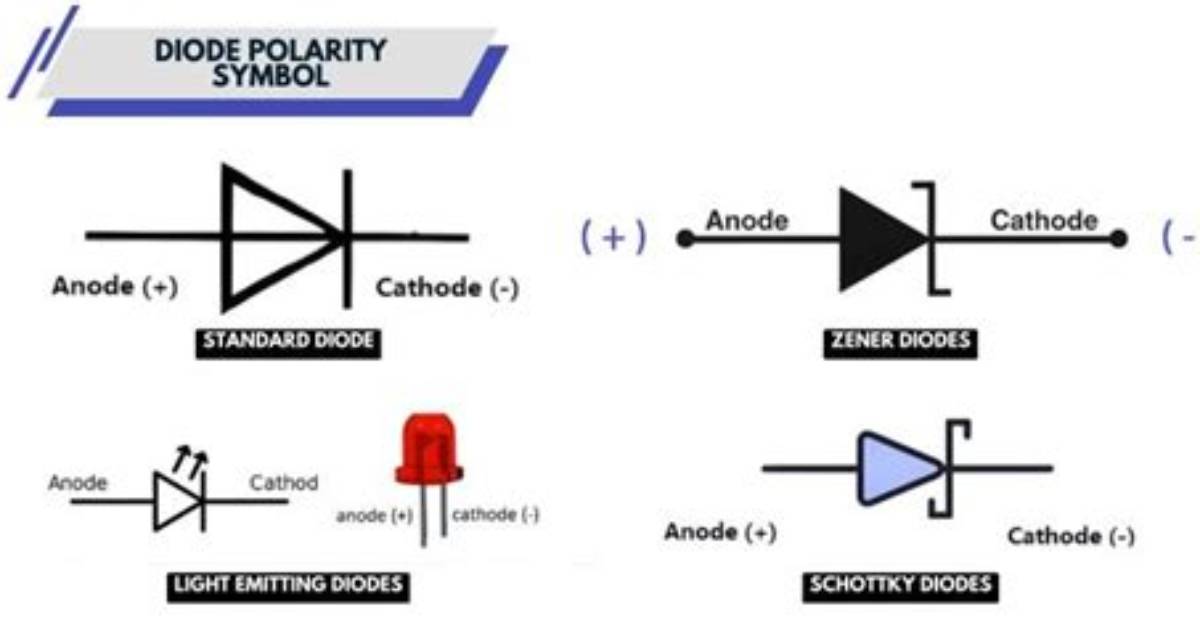 How Do You Check a Diode Polarity with a Multimeter?