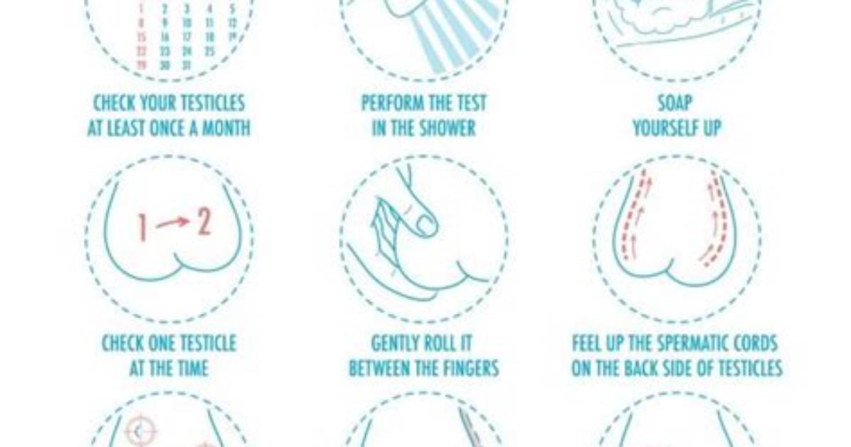 How Do You Check for Testicle Hernia?