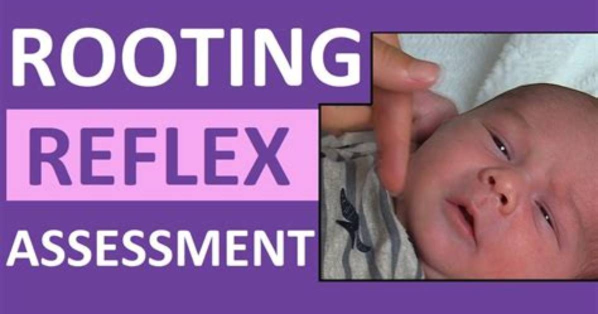 How Do You Check Your Rooting Reflex