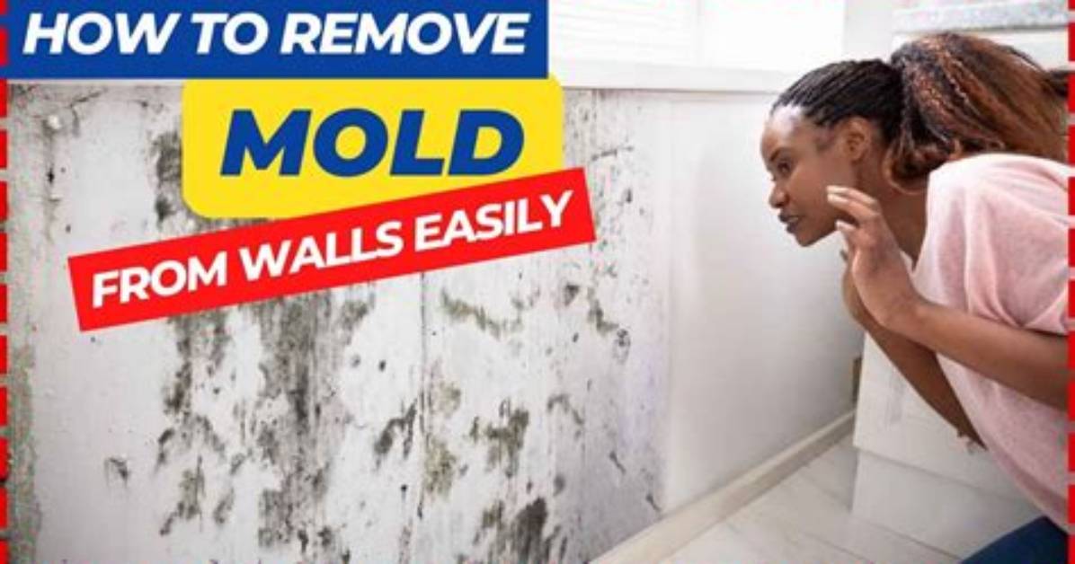 How Do You Clean Mold off a Couch