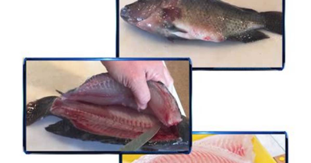 How Do You Clean Tilapia Step by Step?