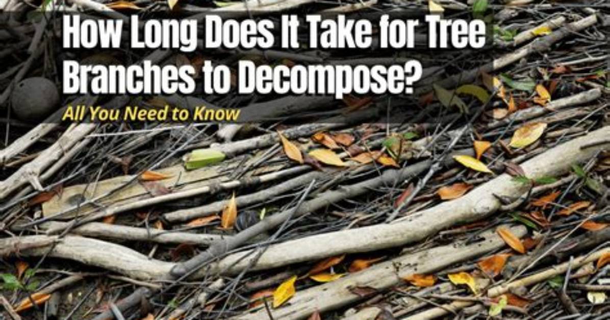 How Do You Compost Tree Branches?
