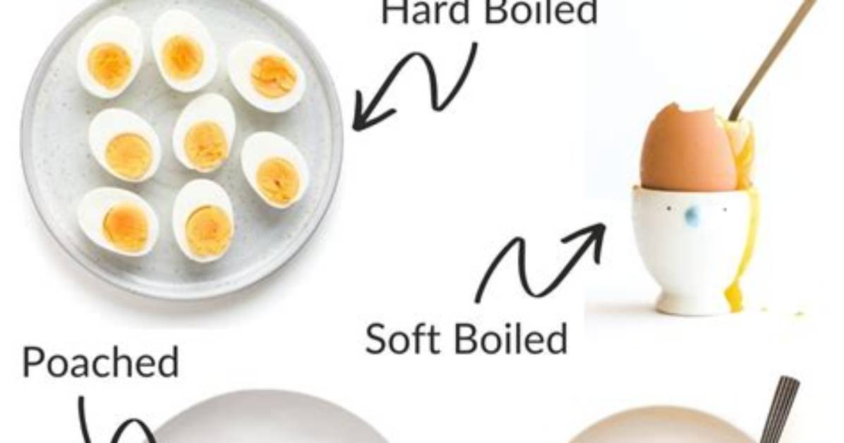 How Do You Cook an Egg for a Cat?
