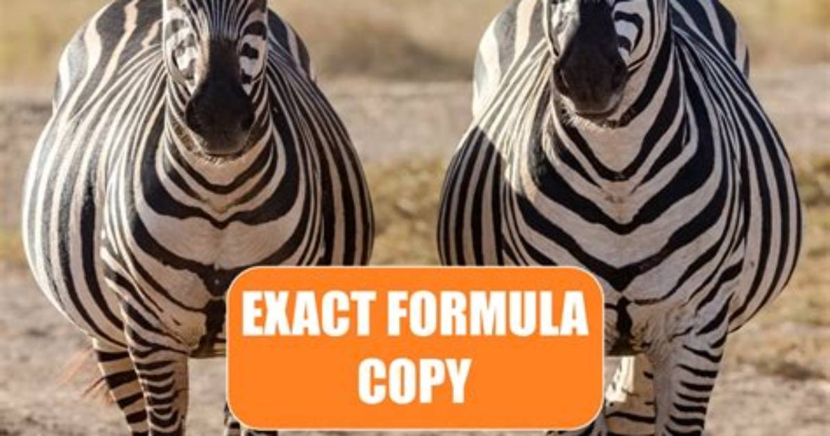 How Do You Copy an Exact Formula in Excel Without Changing the Cell Reference?