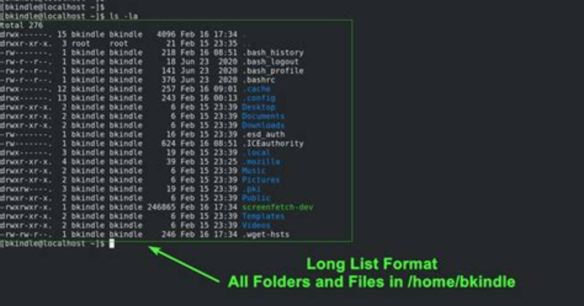 How Do You Count Files in Unix?