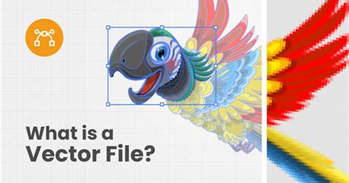 How Do You Create a Vector File in Photoshop?