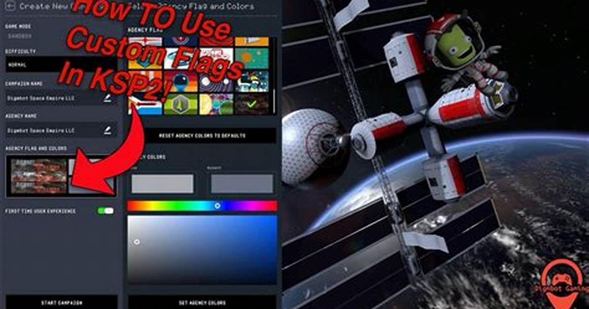 How Do You Customize Flags in Ksp?