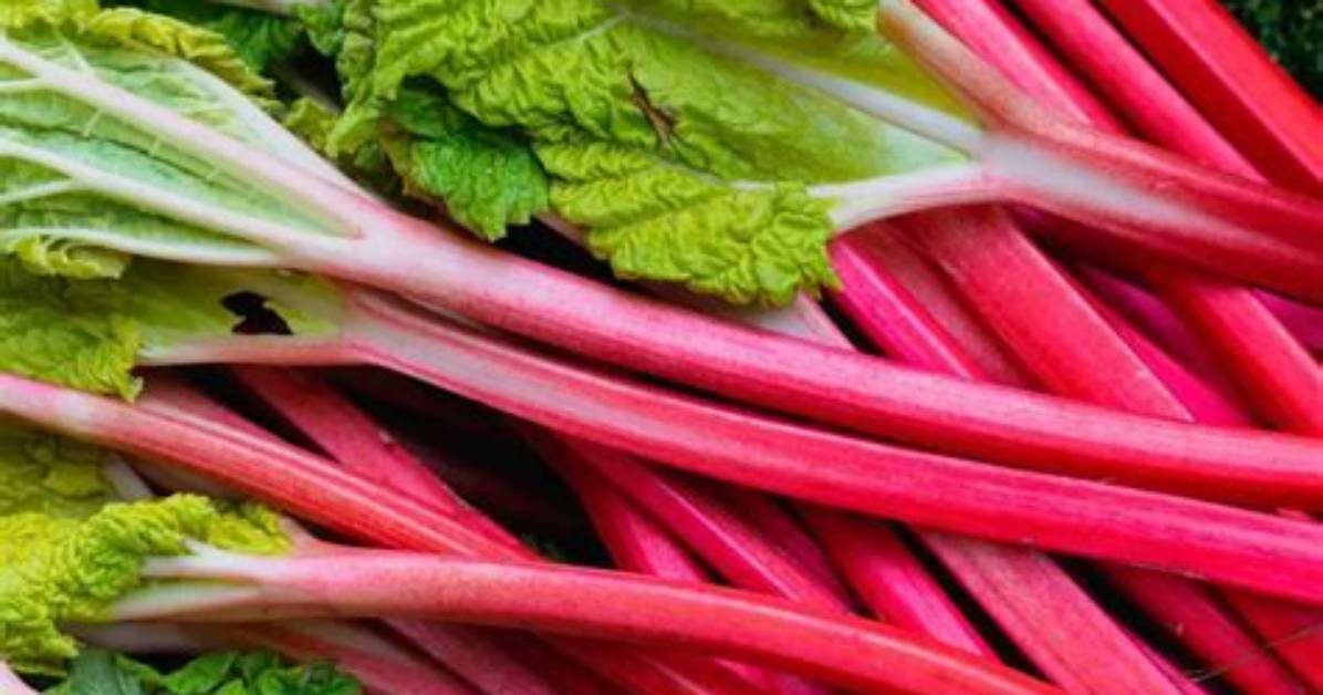 How Do You Defrost Rhubarb