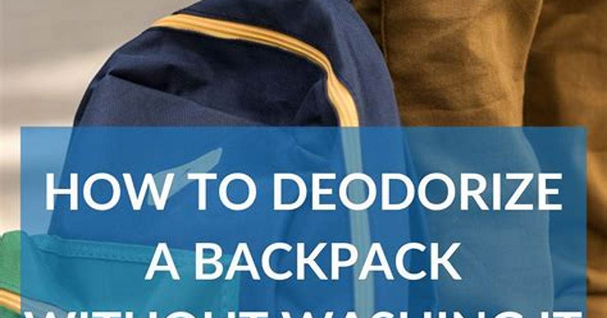 How Do You Deodorize a Backpack?