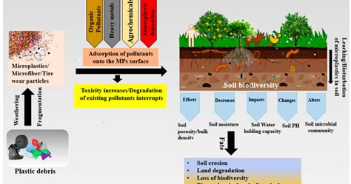 How Do You Destroy Soil
