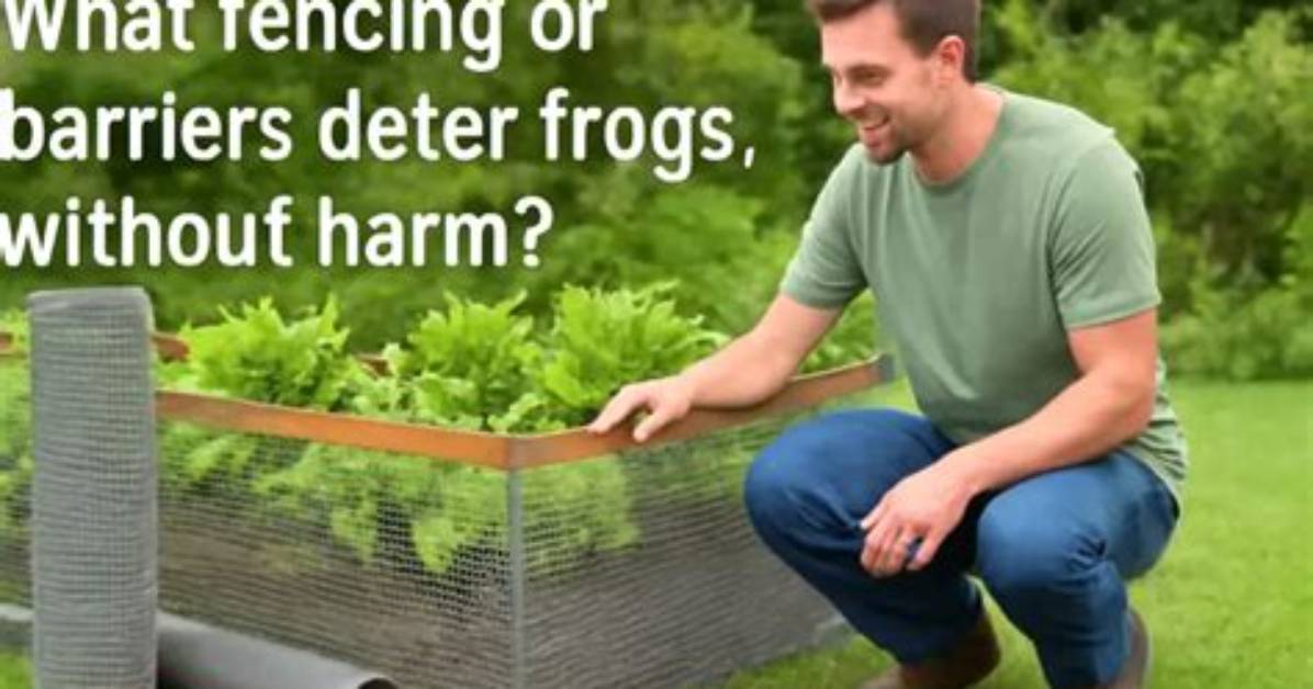 How Do You Deter Frogs?