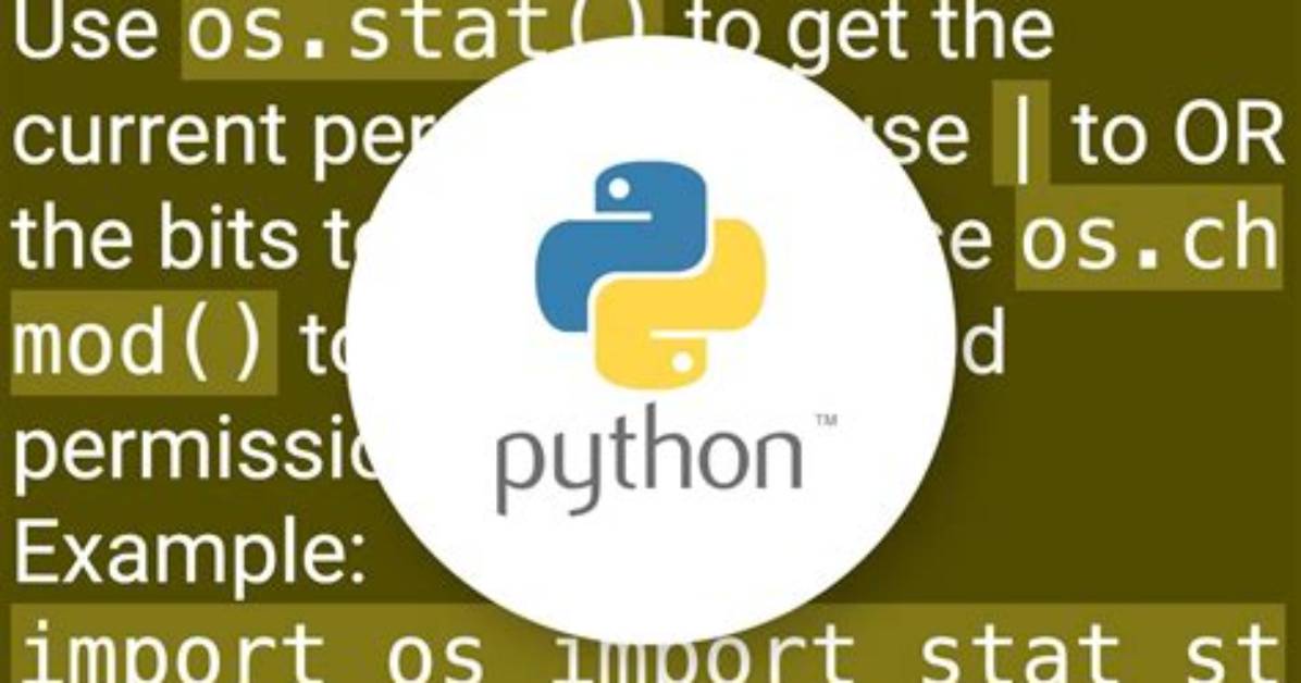 How Do You Do a Simple "Chmod +X" from Within Python?