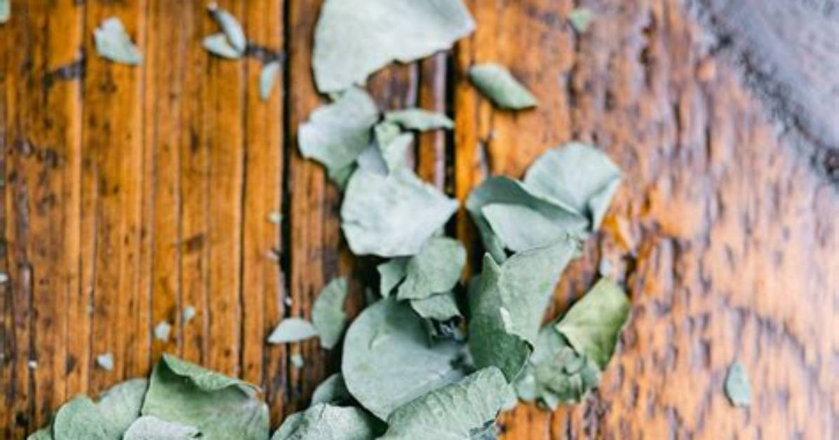 How Do You Dry a Eucalyptus Wreath?