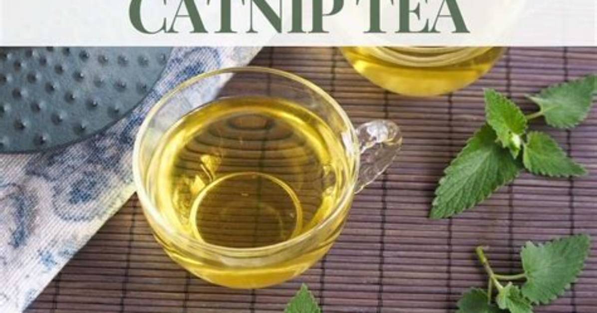 How Do You Dry Catnip for Tea