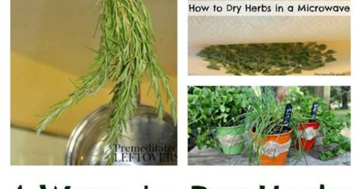 How Do You Dry Fresh Herbs