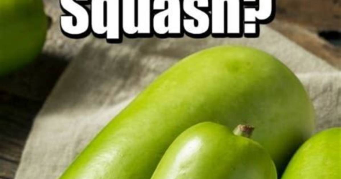 How Do You Eat Opo Squash