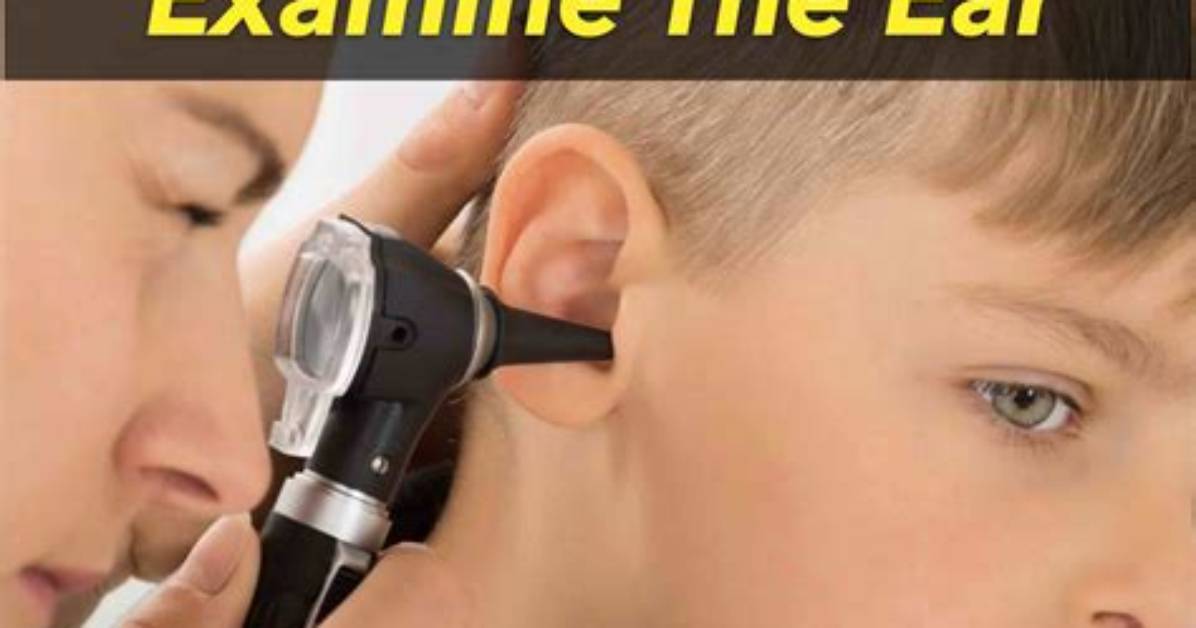 How Do You Examine an Ear Drum