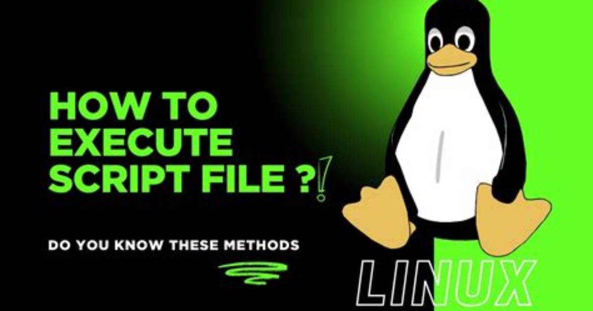 How Do You Execute a File in Unix?