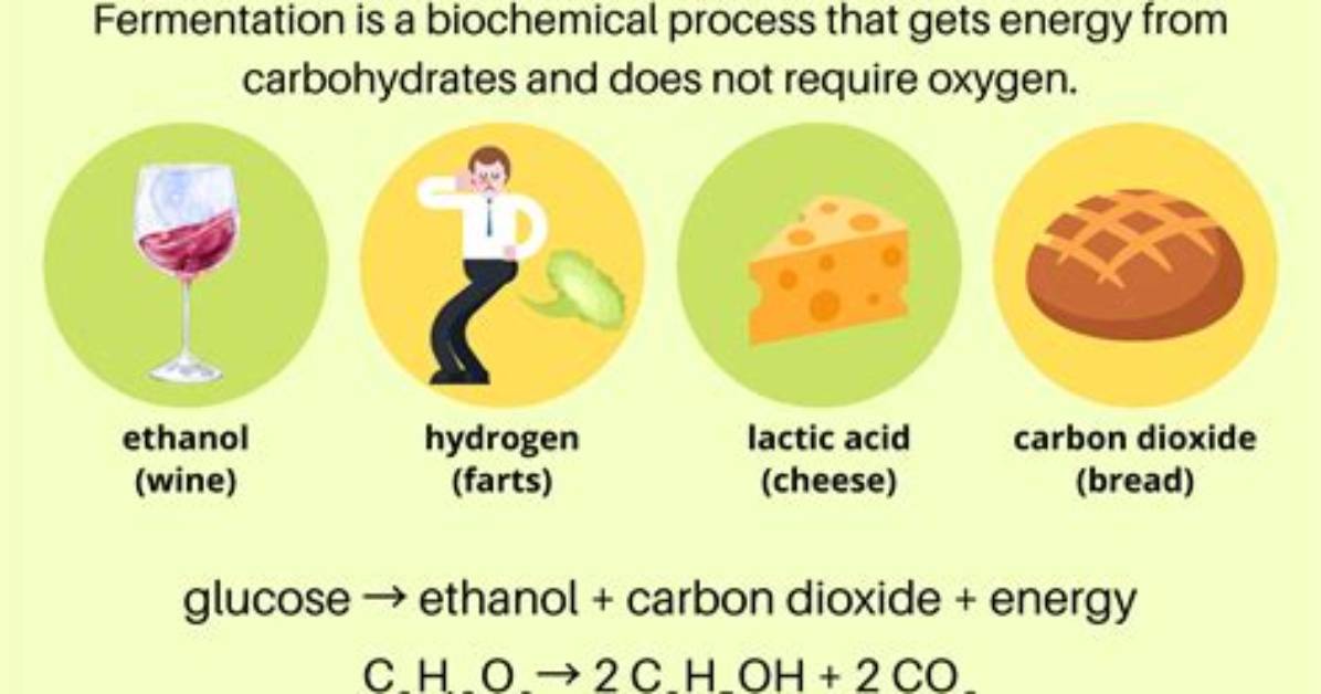 How Do You Ferment Plants