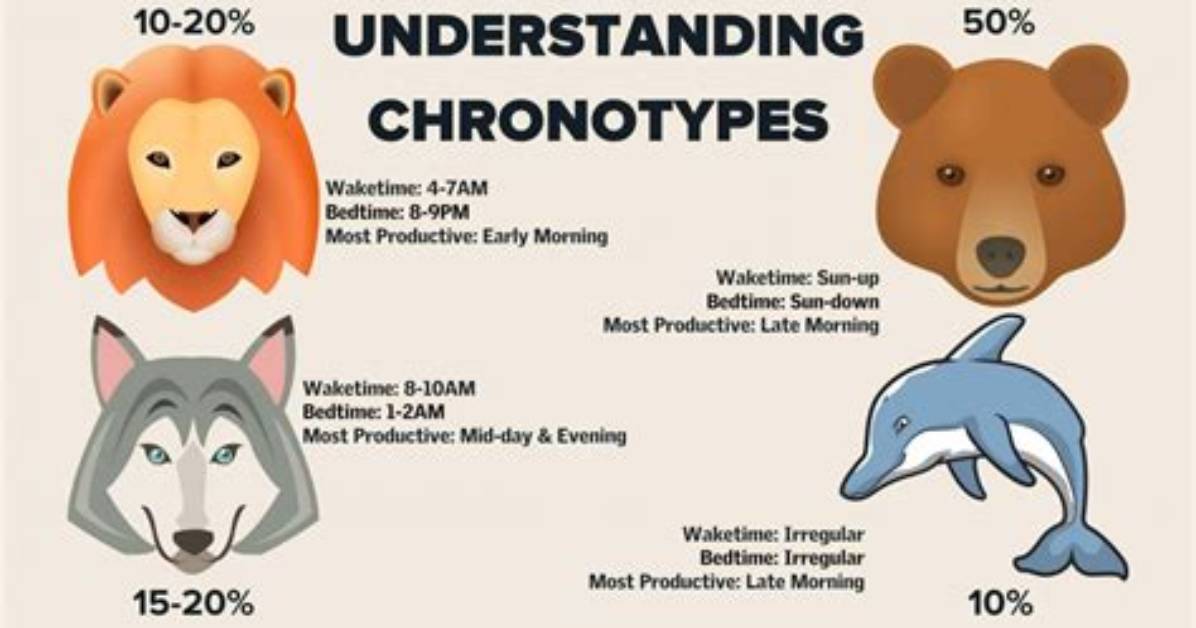 How Do You Find Your Chronotype