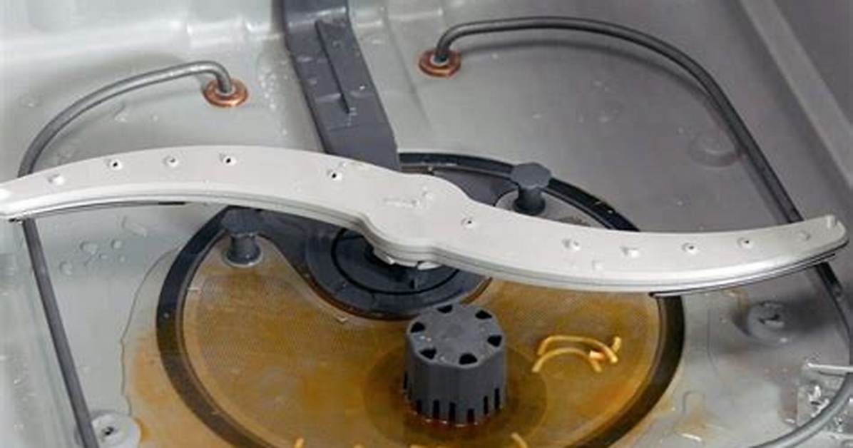 How Do You Fix a Clogged Steamer