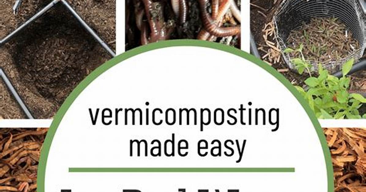 How Do You Fix a Worm Bed