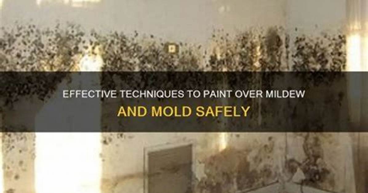 How Do You Fix Moldy Paint