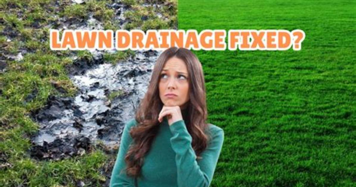 How Do You Fix Poor Drainage in Soil